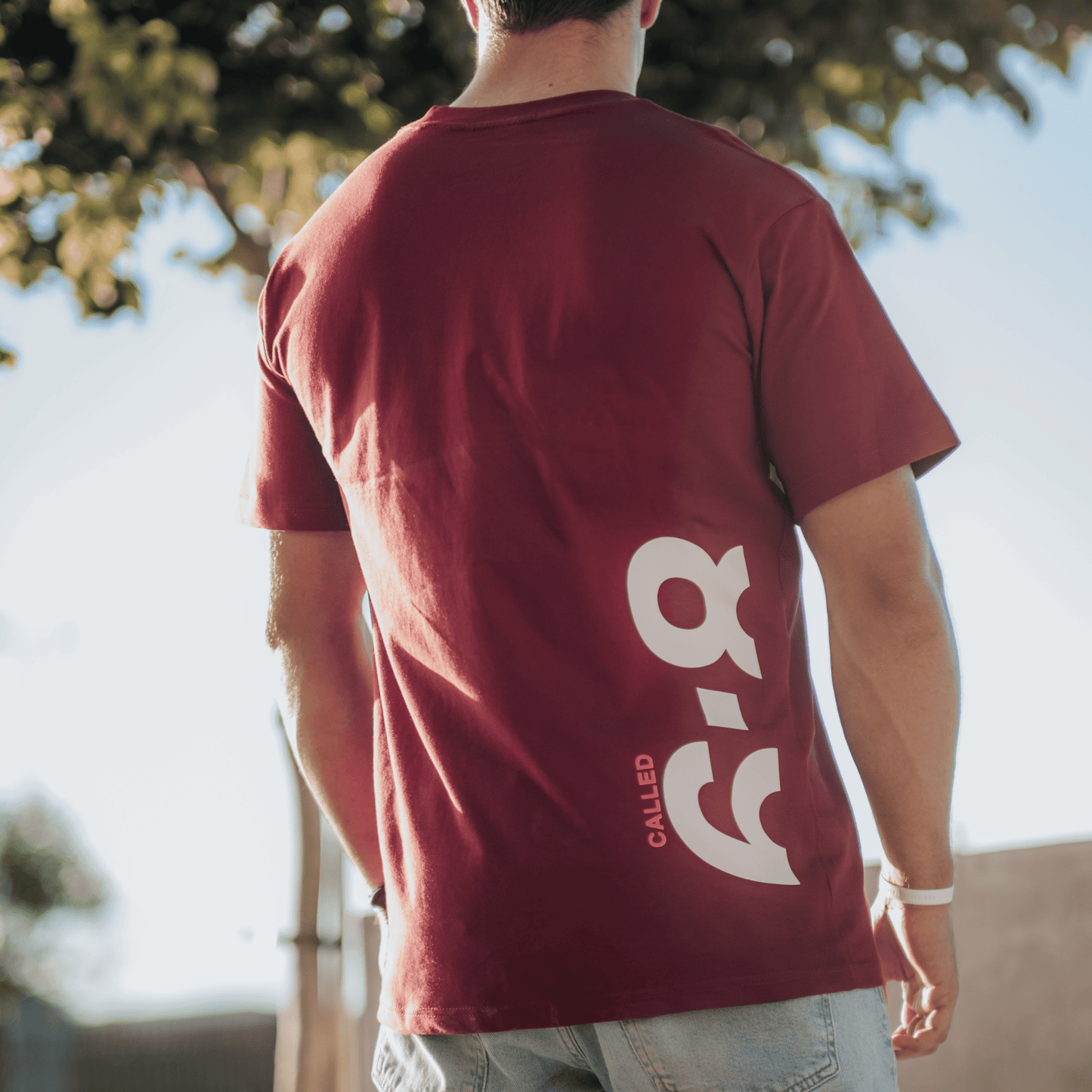 Male T-Shirt - ISAIAH 6:7-8